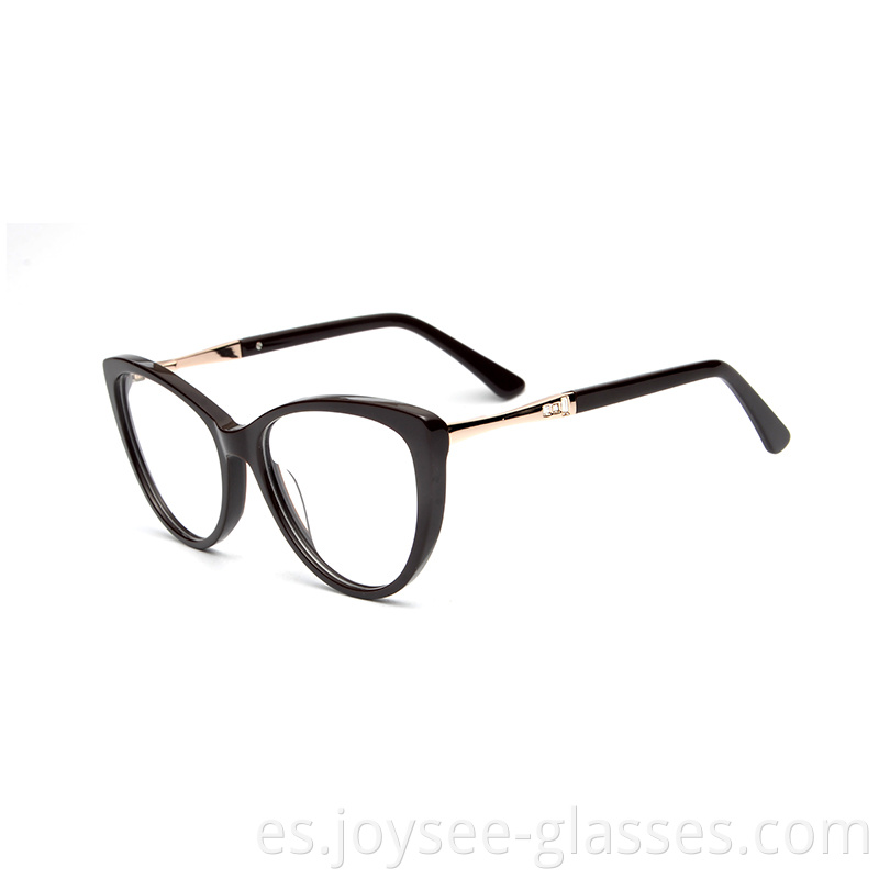 optical frames eyeglasses